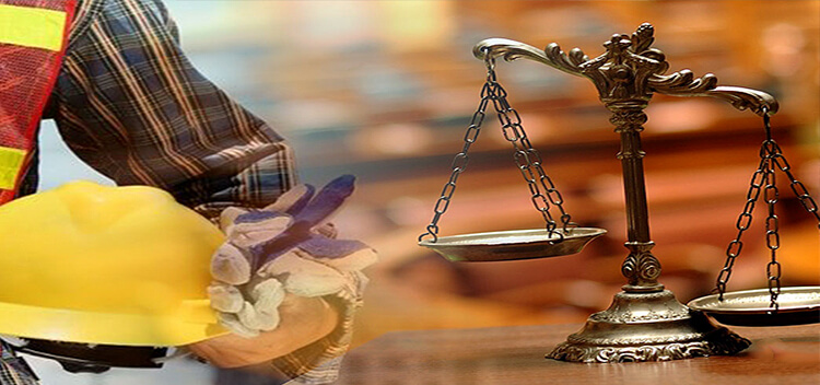 Employment & Social Security Law