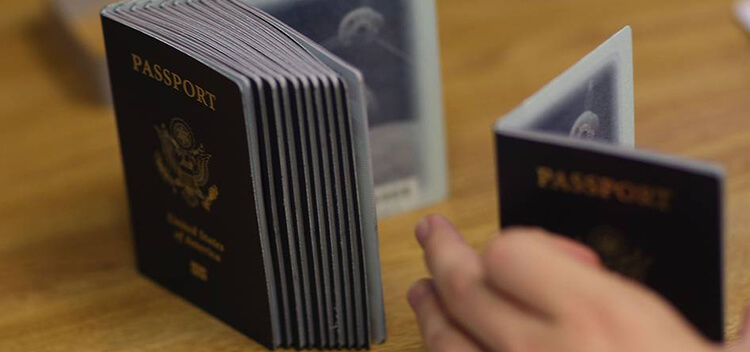 Foreigners and Immigration Law
